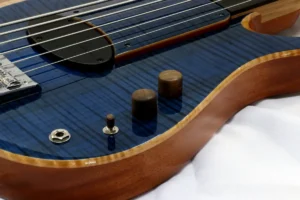 contrabaixo rgil guitars