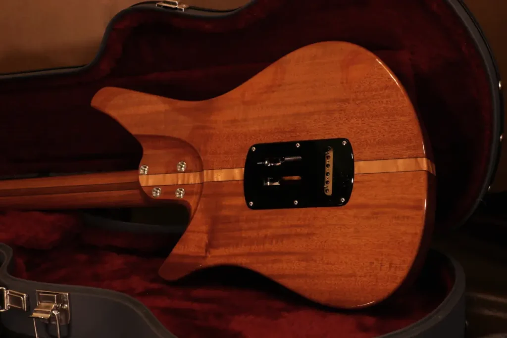 back guitarra Sintonia