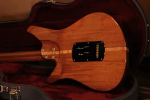 back guitarra Sintonia