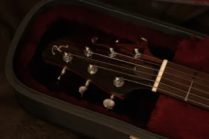 headstock guitarra Sintonia