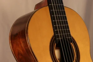 série acústica luthier Rgil Guitars