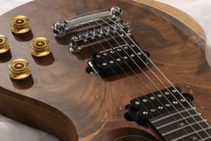 Guitarra Biscuit RGil Guitars - detalhes do corpo, ferragem e elétrica