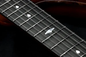 Guitarra Hiker RGil Guitars - detalhe do braço