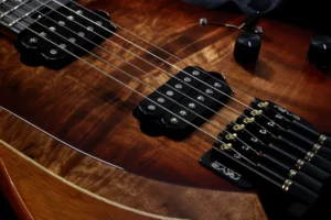 Guitarra Hiker RGil Guitars - detalhes