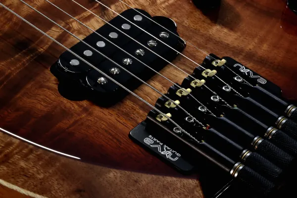 Nova Guitar Parts Hiker