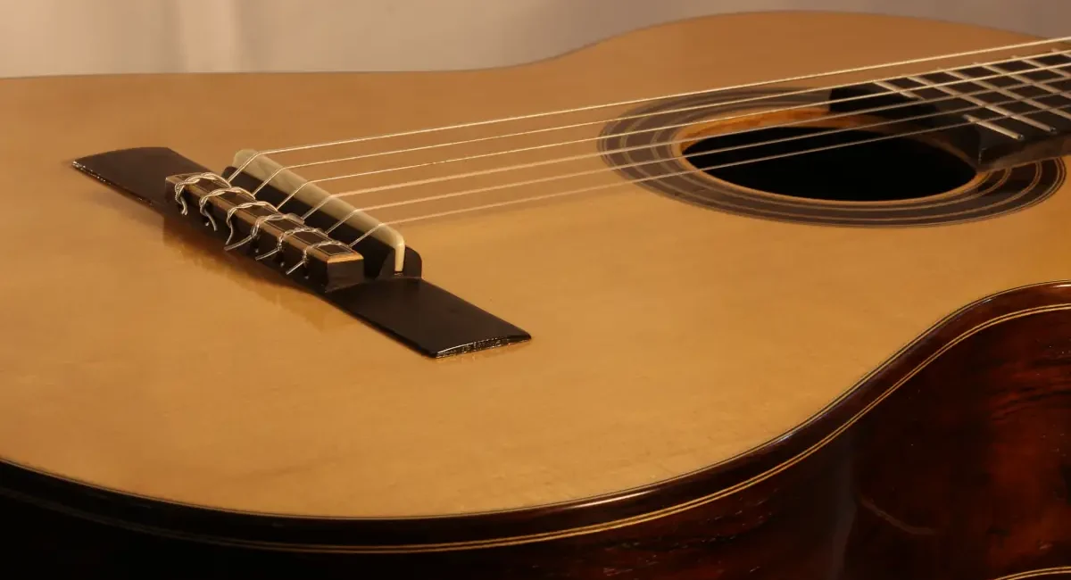 instrumentos acusticos rgil guitars