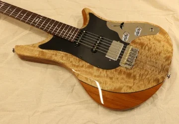 sintonia rgil guitars